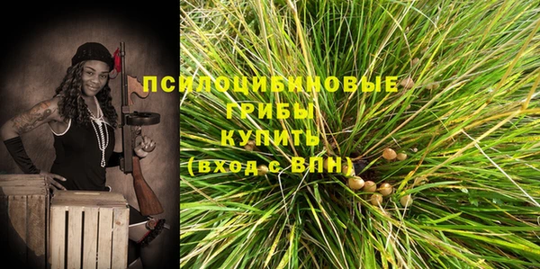 гашик Абинск